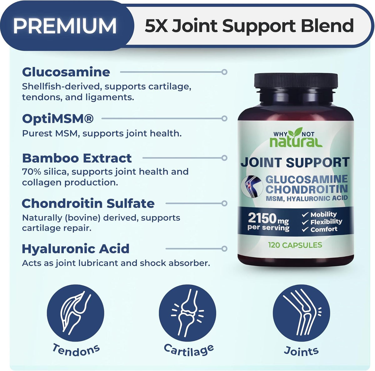 Glucosamine & MSM Joint Support