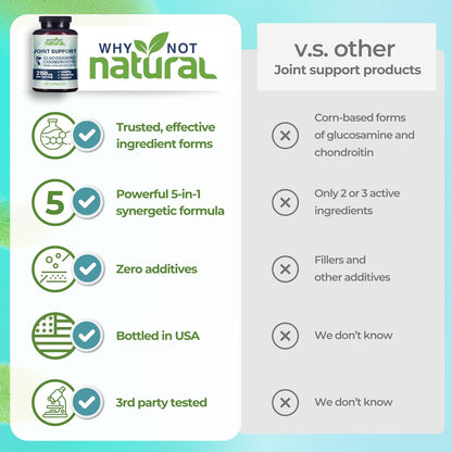 Glucosamine & MSM Joint Support
